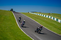 Lower Group Black Bikes